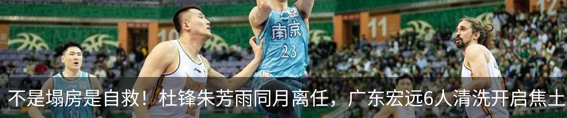 最新动态