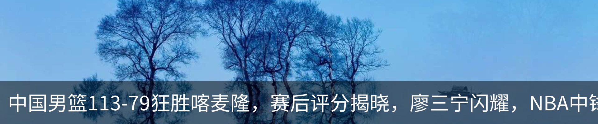 最新动态