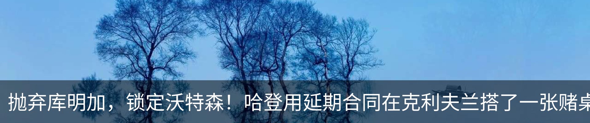 最新动态