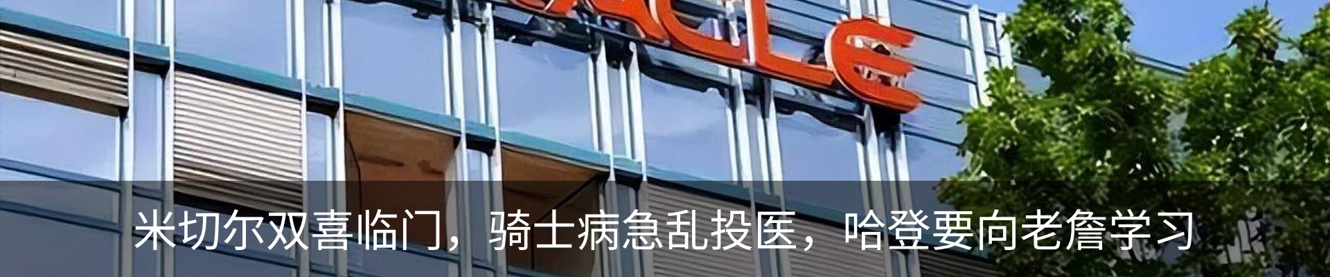最新动态