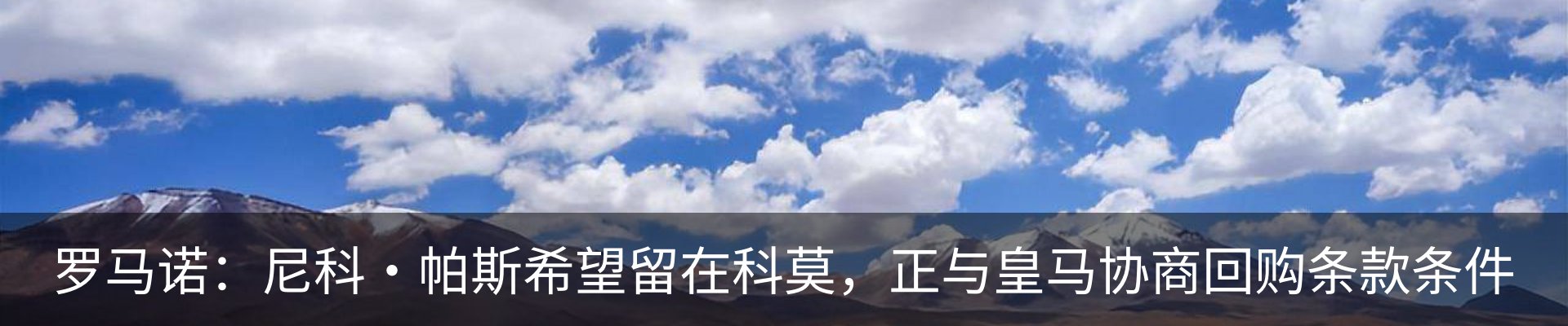 最新动态